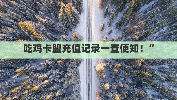 吃鸡卡盟充值记录一查便知！”