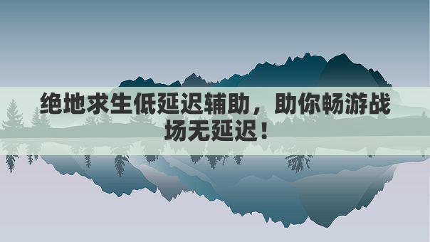 绝地求生低延迟辅助，助你畅游战场无延迟！