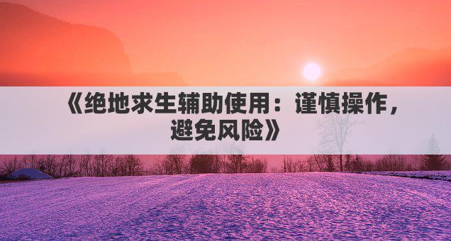 《绝地求生辅助使用：谨慎操作，避免风险》