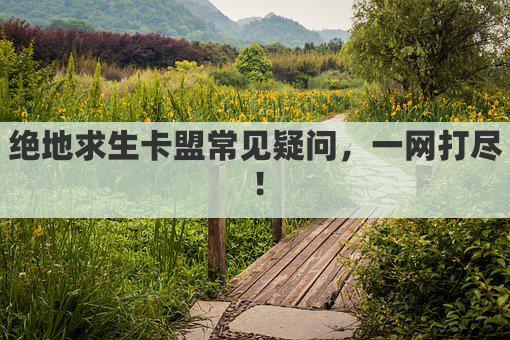 绝地求生卡盟常见疑问，一网打尽！