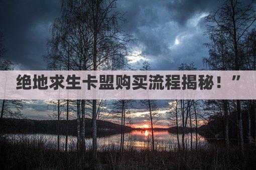 绝地求生卡盟购买流程揭秘！”