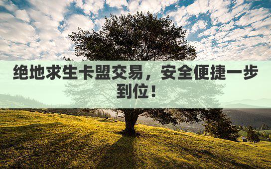 绝地求生卡盟交易，安全便捷一步到位！