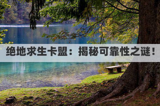 绝地求生卡盟：揭秘可靠性之谜！
