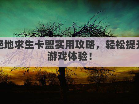 绝地求生卡盟实用攻略，轻松提升游戏体验！