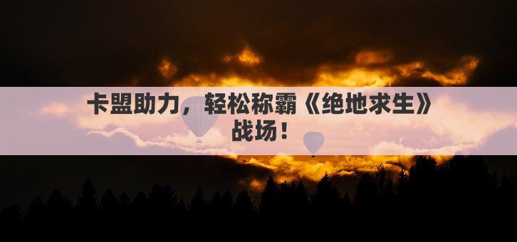 卡盟助力，轻松称霸《绝地求生》战场！