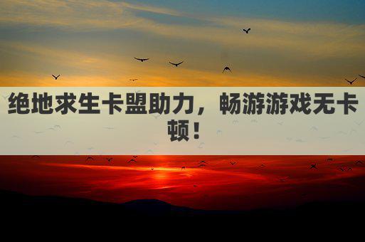 绝地求生卡盟助力，畅游游戏无卡顿！