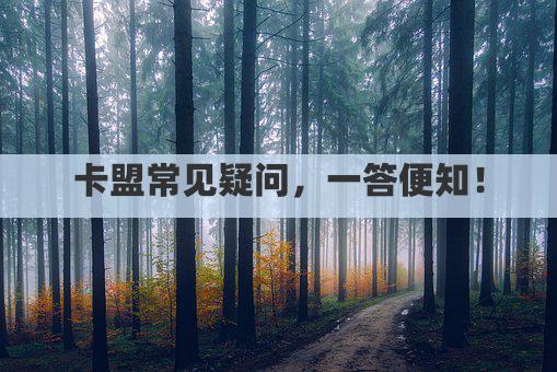 卡盟常见疑问，一答便知！