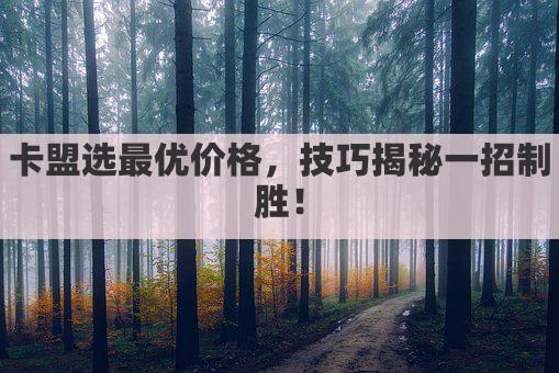 卡盟选最优价格，技巧揭秘一招制胜！