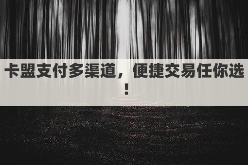 卡盟支付多渠道，便捷交易任你选！