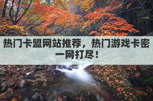 热门卡盟网站推荐，热门游戏卡密一网打尽！
