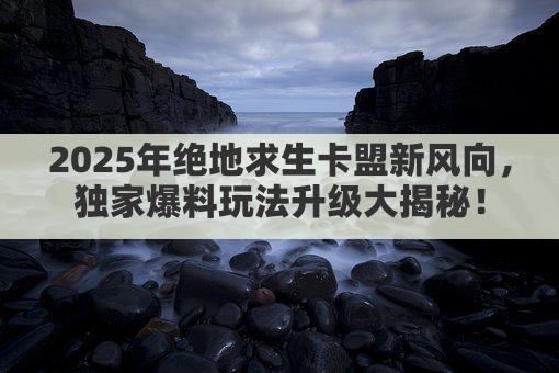2025年绝地求生卡盟新风向，独家爆料玩法升级大揭秘！