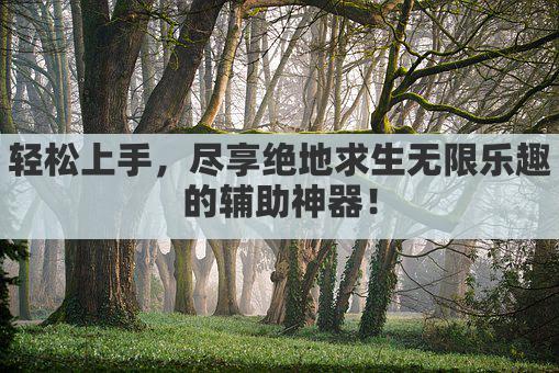 轻松上手，尽享绝地求生无限乐趣的辅助神器！