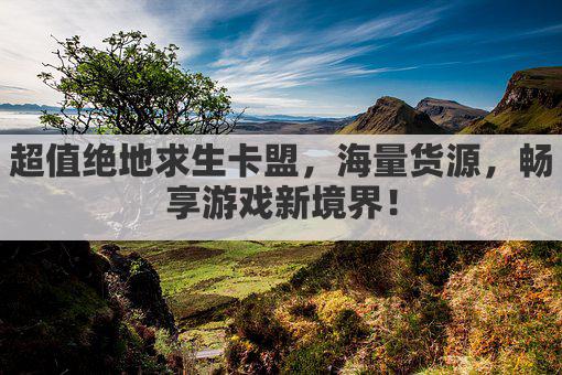 超值绝地求生卡盟，海量货源，畅享游戏新境界！