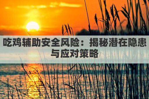 吃鸡辅助安全风险：揭秘潜在隐患与应对策略