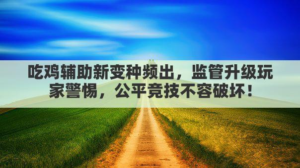 吃鸡辅助新变种频出，监管升级玩家警惕，公平竞技不容破坏！