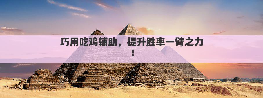 巧用吃鸡辅助，提升胜率一臂之力！