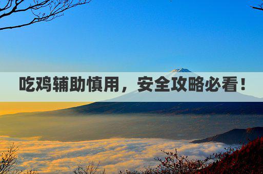 吃鸡辅助慎用，安全攻略必看！