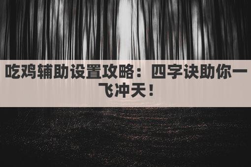 吃鸡辅助设置攻略:四字诀助你一飞冲天!