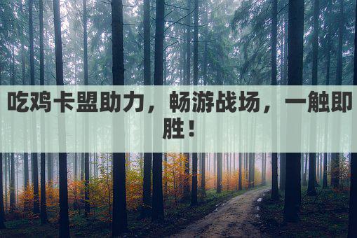 吃鸡卡盟助力，畅游战场，一触即胜！