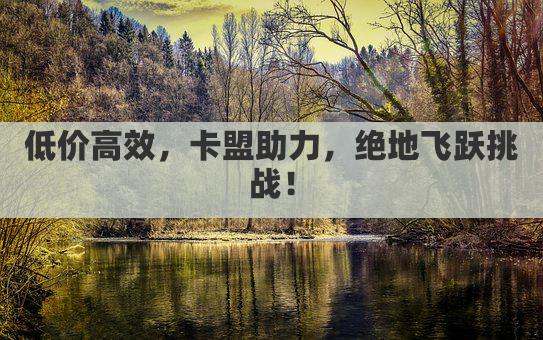 低价高效，卡盟助力，绝地飞跃挑战！