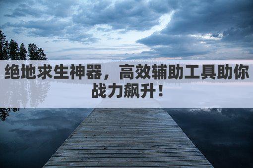 绝地求生神器，高效辅助工具助你战力飙升！