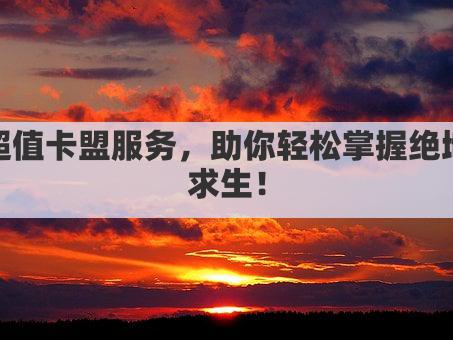 超值卡盟服务，助你轻松掌握绝地求生！