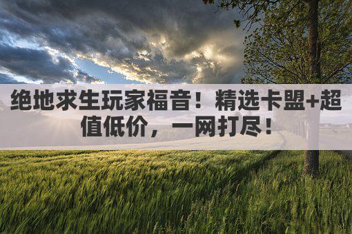 绝地求生玩家福音！精选卡盟+超值低价，一网打尽！