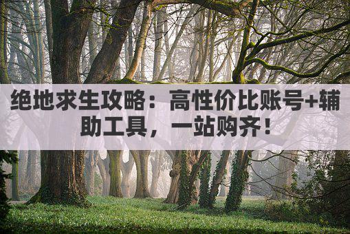 绝地求生攻略：高性价比账号+辅助工具，一站购齐！