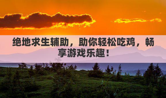 绝地求生辅助，助你轻松吃鸡，畅享游戏乐趣！