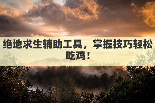 绝地求生辅助工具：高效使用攻略揭秘