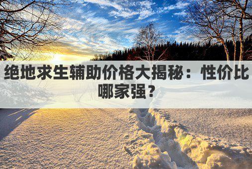 绝地求生辅助价格大揭秘：性价比哪家强？