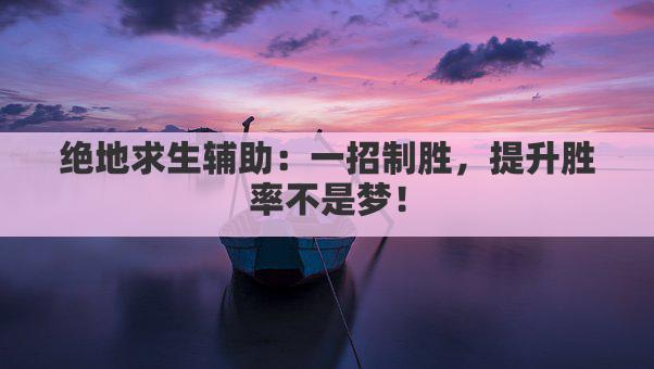 绝地求生辅助：胜率提升还是作弊风险？