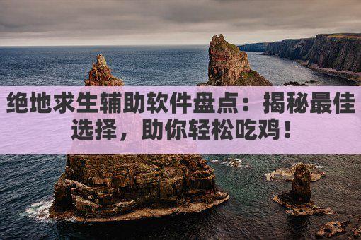 绝地求生辅助软件盘点：哪款才是最佳选择？