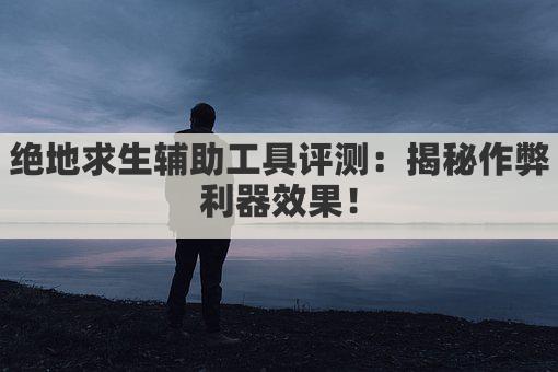 绝地求生辅助工具评测：揭秘作弊利器效果！