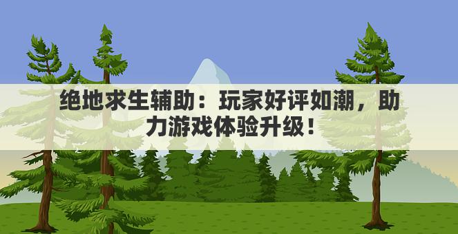 绝地求生辅助：玩家好评如潮，助力游戏体验升级！
