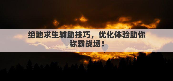 绝地求生辅助技巧，优化体验助你称霸战场！