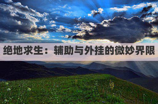 绝地求生：辅助与外挂的微妙界限