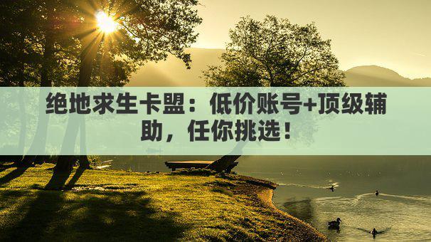 绝地求生卡盟：低价账号+顶级辅助，任你挑选！