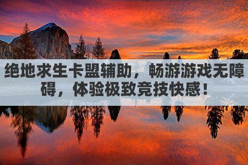 绝地求生卡盟辅助，畅游游戏无障碍，体验极致竞技快感！