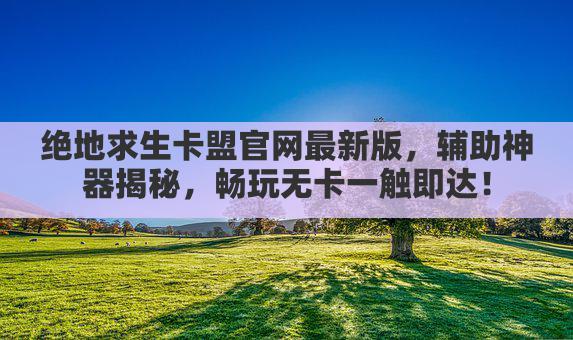 绝地求生卡盟官网，辅助神器，畅玩无忧体验！