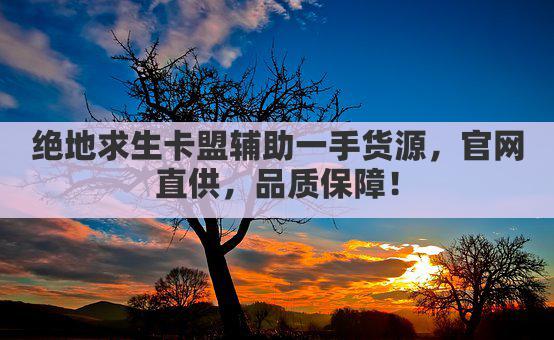 绝地求生卡盟辅助一手货源，官网直供，品质保障！