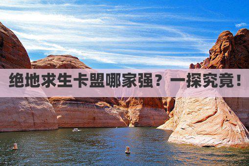 绝地求生卡盟哪家强？一探究竟！