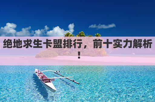 绝地求生卡盟排行，前十实力解析！