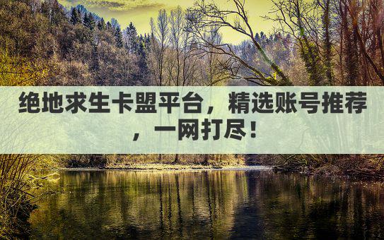 绝地求生卡盟平台，精选账号推荐，一网打尽！