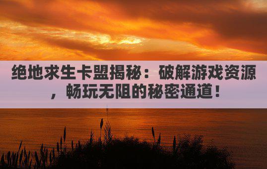 绝地求生卡盟揭秘：破解游戏资源，畅玩无阻的秘密通道！