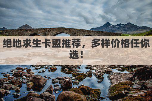 绝地求生卡盟推荐，多样价格任你选！