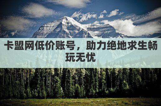 卡盟网低价账号，助力绝地求生畅玩无忧