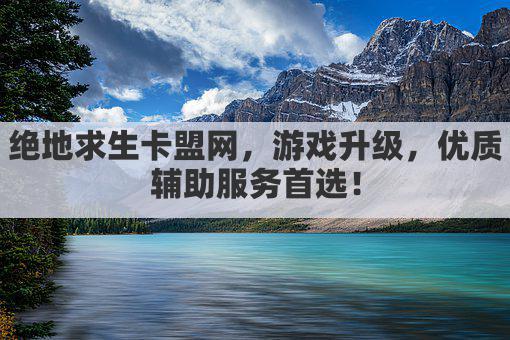 绝地求生卡盟网，游戏升级，优质辅助服务首选！