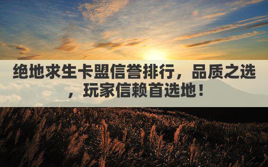绝地求生卡盟信誉排行，品质之选，玩家信赖首选地！