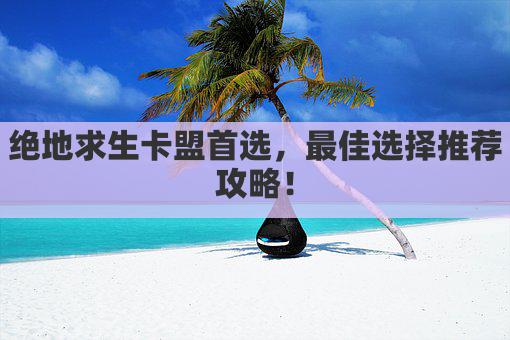 绝地求生卡盟首选，最佳选择推荐攻略！